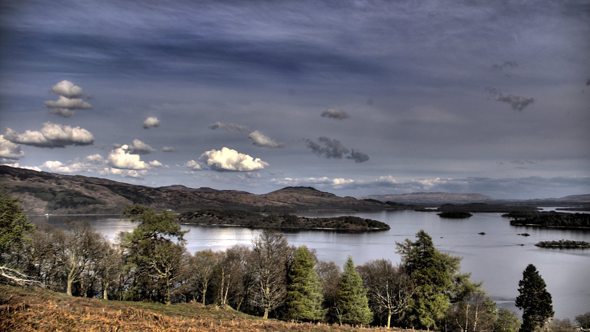 Scottish Made Sustainable Wood Collection - Mood4whisky